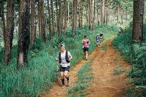 BIB: 
                            <button type="button" onclick="openModal(25749024)" class="btn btn-primary btn-sm float-right btn-popup" data-toggle="modal" data-target=".modal-high-quality">
                        <i class="fas fa-shopping-cart"></i> Add to Cart
                    </button>
                                            <button type="button" onclick="isThisMe(25749024, true)" class="btn btn-success btn-sm float-right btn-popup btn-isme hidden" data-toggle="tooltip" data-placement="bottom" title="นี่คือรูปของคุณใช่ไหม คลิกที่นี่เพื่อเอาเข้าอัลบั้ม">
                        <i class="fas fa-plus"></i> Add to album
                    </button>
                    <button type="button" onclick="isThisMe(25749024, false)" class="btn btn-warning btn-sm float-right btn-popup btn-isnotme hidden">
                        <i class="fas fa-ban"></i> Remove from album
                    </button>